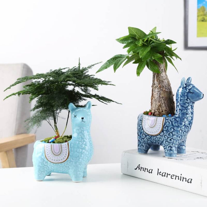 Ceramiczne Doniczki Alpaka – Ręcznie Malowane Osłonki do Sukulentów i Kaktusów, 12 cm i 19,5 cm 1