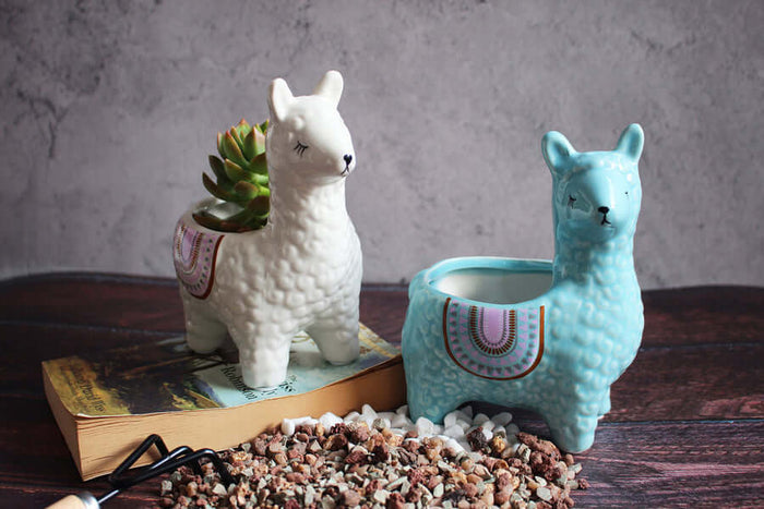 Ceramiczne Doniczki Alpaka – Ręcznie Malowane Osłonki do Sukulentów i Kaktusów, 12 cm i 19,5 cm 5