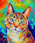 Confetti The Cat