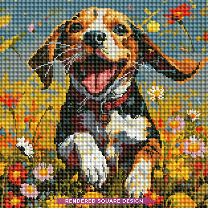 Daisy Field Frolic