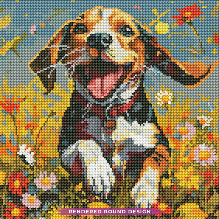 Daisy Field Frolic