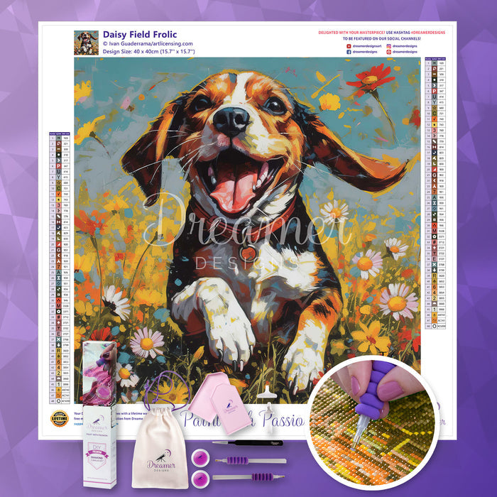 Daisy Field Frolic