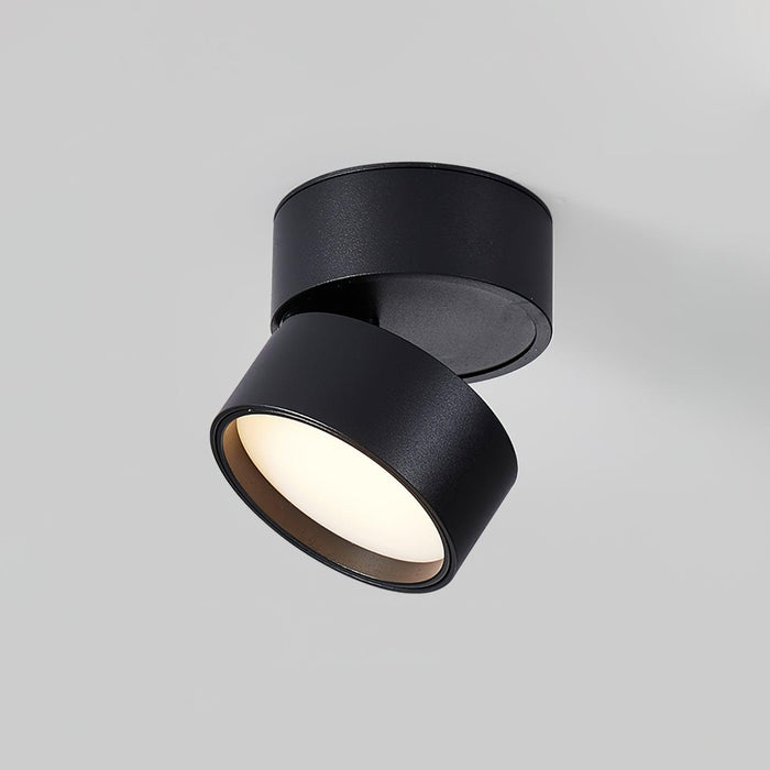 Lampa Sufitowa Favilla Surface z Regulowanym Oświetleniem LED – Ciepła Biała 3000 K, Idealna do Salonu i Sypialni 0