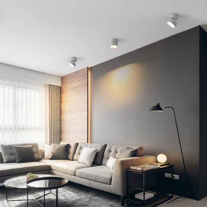 Lampa Sufitowa Favilla Surface z Regulowanym Oświetleniem LED – Ciepła Biała 3000 K, Idealna do Salonu i Sypialni 3