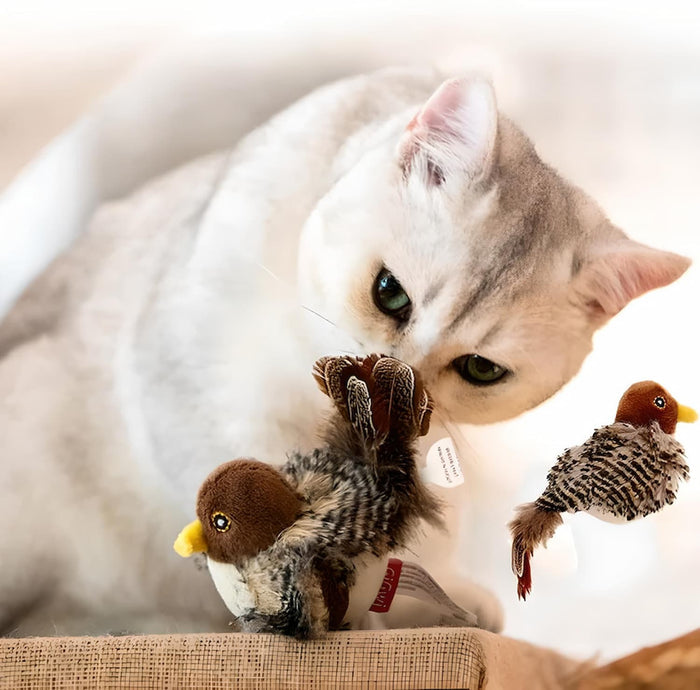Interactive Cat Toy with Lifelike Bird Sounds and Movements – Rechargeable and Durable Design for Indoor Cats 4