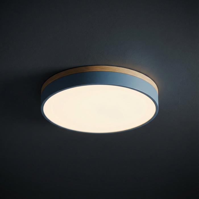 Lampa sufitowa LED z bezstopniowym ściemnianiem i pilotem – nowoczesna, okrągła lampa sufitowa do salonów 3