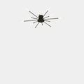 Black / 12 scattered light bulbs / Neutral white