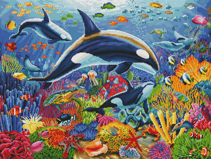 Orca Fun