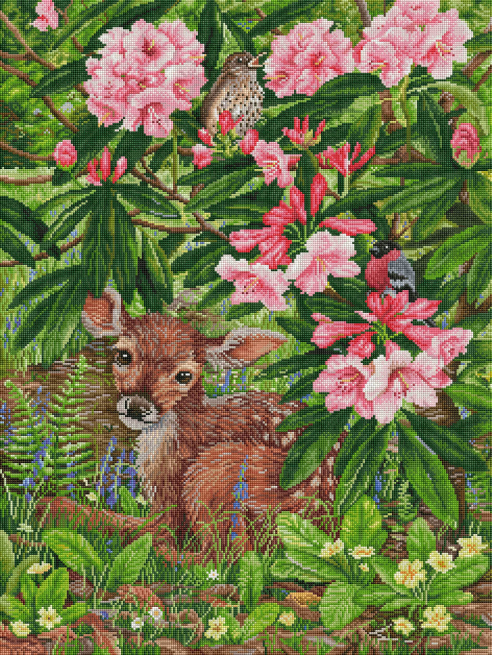 Quiet Fawn