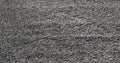 Safavieh California Premium Shag Collection SG151-8484 Dark Grey Square Area Rug (8'6" Square)