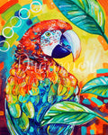Scarlet Macaw