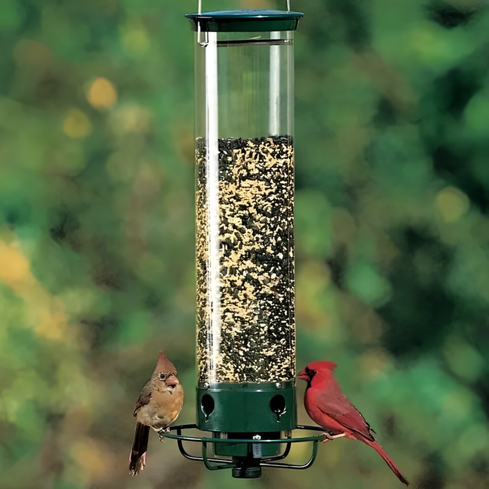 Karmnik dla ptaków z ochroną przed wiewiórkami, wykonany z metalowej konstrukcji, z czterema port 0