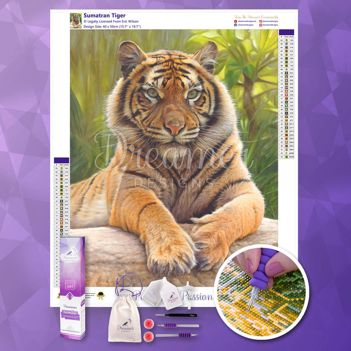 Sumatran Tiger