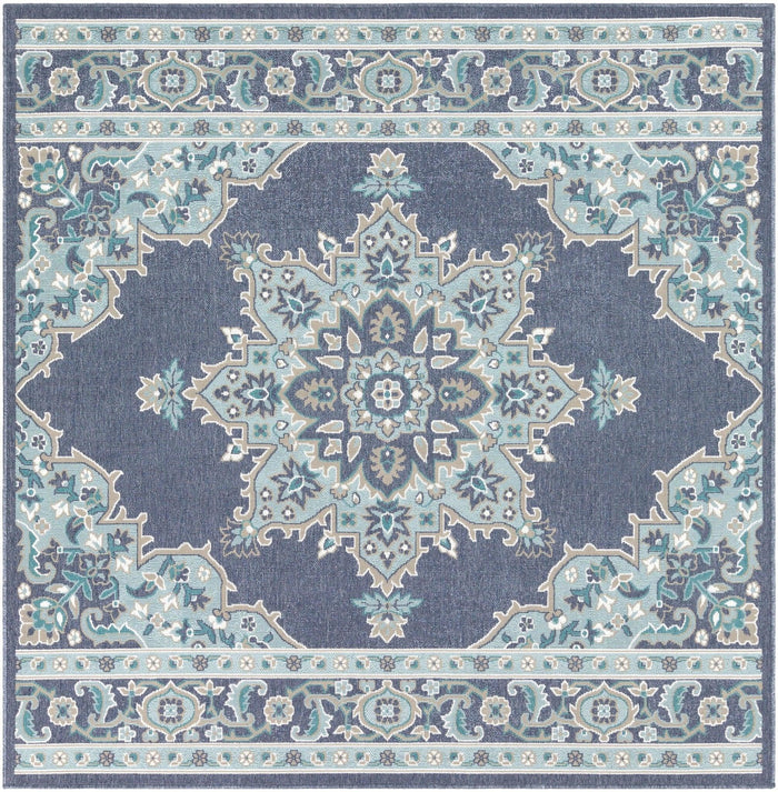 Surya Alfresco ALF-9670 Area Rug - Kapisa Rugs