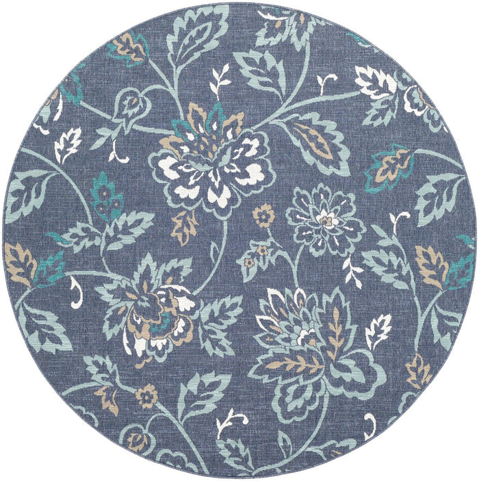 Surya Alfresco ALF-9673 Area Rug - Kapisa Rugs