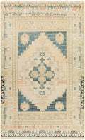 Surya Anadolu Traditional Area Rugs With Multi-Color AAU-2301 - Kapisa Rugs