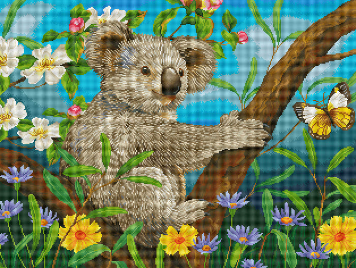 Sweet Koala