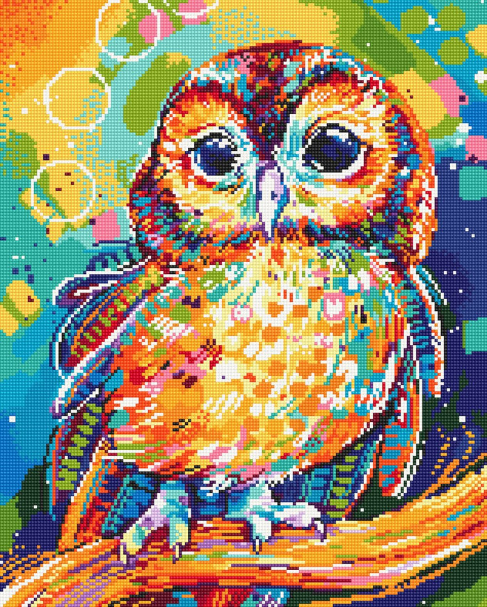 Tawny Owl
